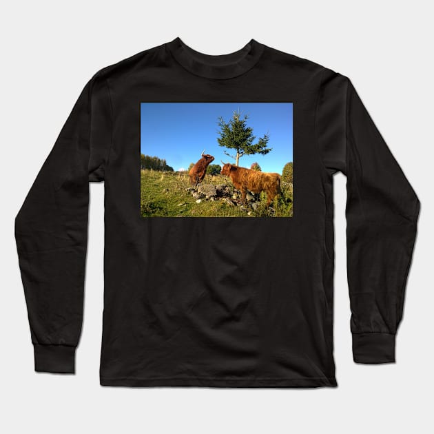 Scottish Highland Cattle Cows 1000 Long Sleeve T-Shirt by SaarelaHighland